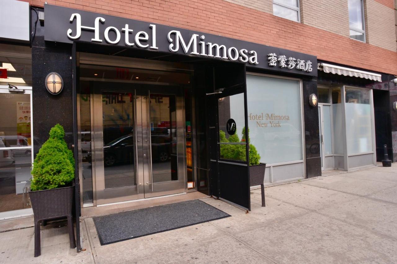 Hotel Mimosa Nova York